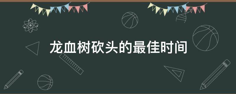 龙血树砍头的最佳时间 龙血树什么时候可以剪头