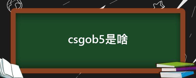csgob5是啥 CSGOb5是什么