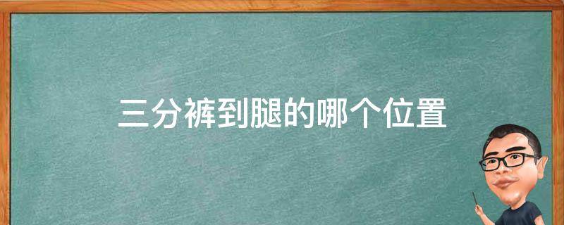 三分裤到腿的哪个位置（4分裤是到腿哪里?）