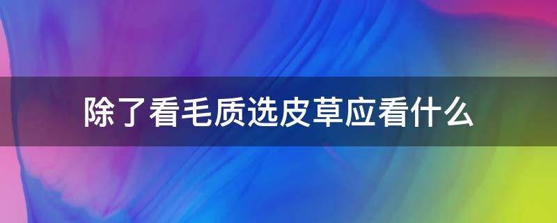 除了看毛质选皮草应看什么 怎么选皮草的质量