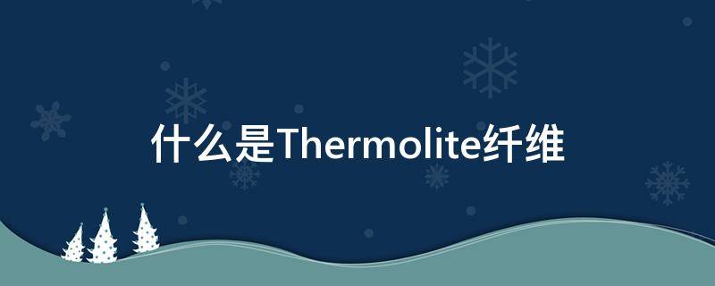 什么是Thermolite纤维 thermolite和p棉