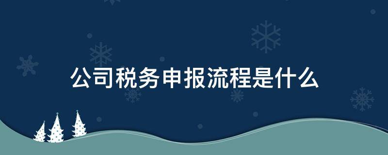 公司税务申报流程是什么（公司的税务申报流程）