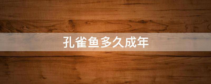 孔雀鱼多久成年 孔雀鱼多长时间成年