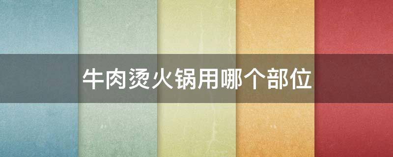 牛肉烫火锅用哪个部位 烧牛肉火锅用什么部位