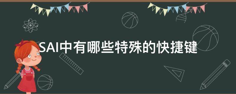 SAI中有哪些特殊的快捷键（sai里的快捷键）