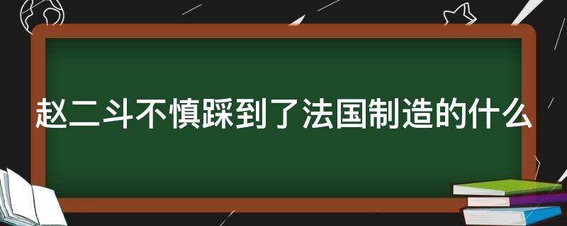 赵二斗不慎踩到了法国制造的什么（赵二斗原型是谁）