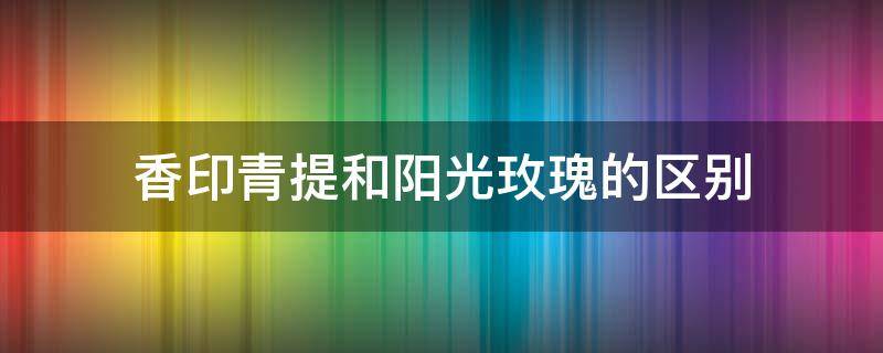 香印青提和阳光玫瑰的区别 玫瑰香青提和香印青提的区别