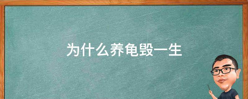 为什么养龟毁一生 为什么养龟毁一生 两只乌龟