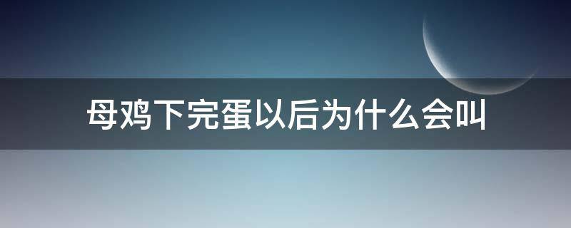 母鸡下完蛋以后为什么会叫（母鸡下了蛋为什么会叫）