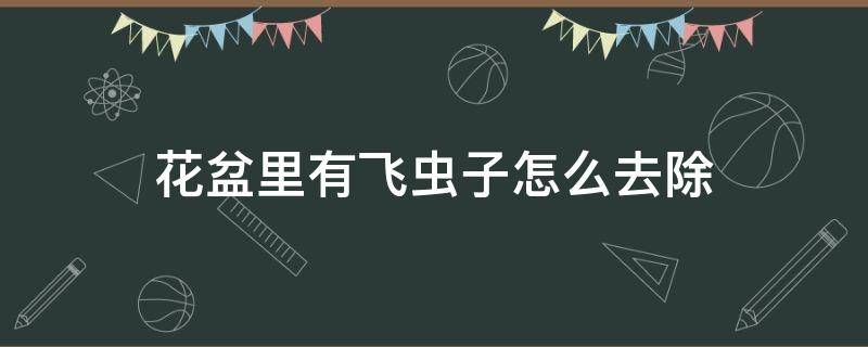 花盆里有飞虫子怎么去除 怎样去除花盆里的小飞虫子