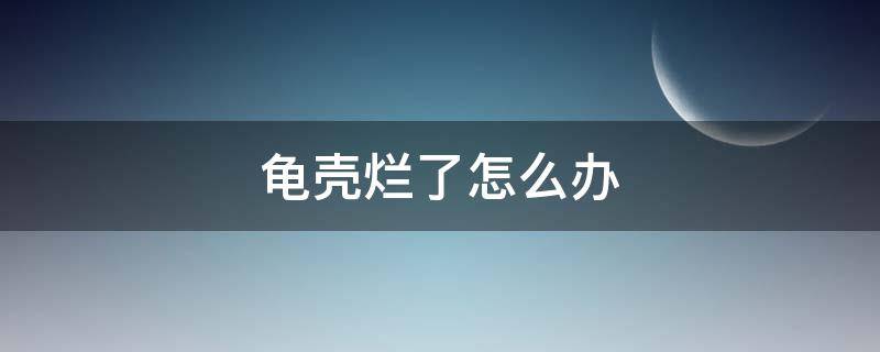 龟壳烂了怎么办（龟壳有点烂了怎么办）