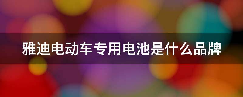 雅迪电动车专用电池是什么品牌（雅迪电动车电池是什么品牌电池）