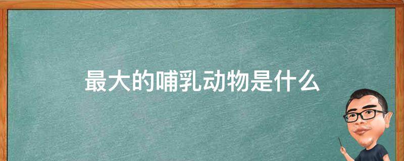 最大的哺乳动物是什么 历史上最大的哺乳动物是什么