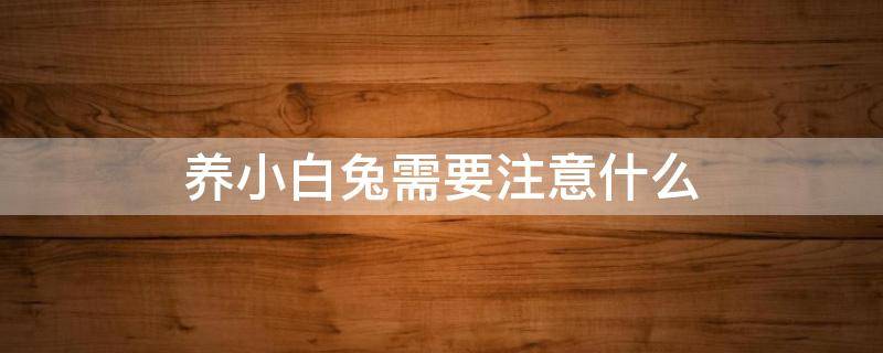 养小白兔需要注意什么（养小白兔要怎么养）