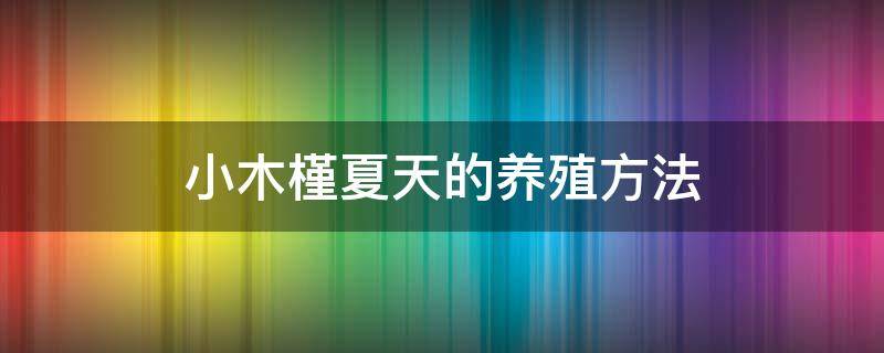 小木槿夏天的养殖方法（小木槿冬天的养殖方法和注意事项）