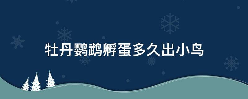 牡丹鹦鹉孵蛋多久出小鸟（牡丹鹦鹉多长时间能孵出蛋）