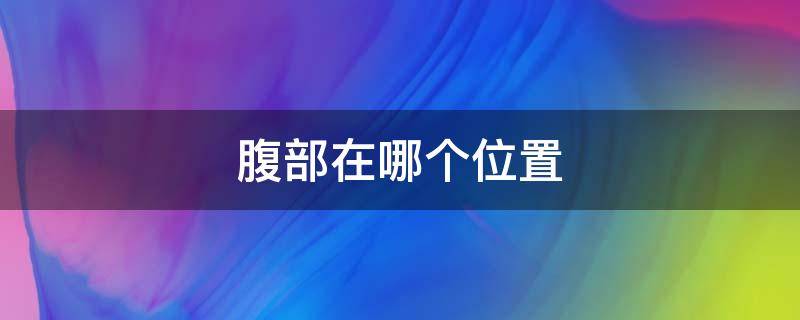 腹部在哪个位置 腹部在哪个位置示意图