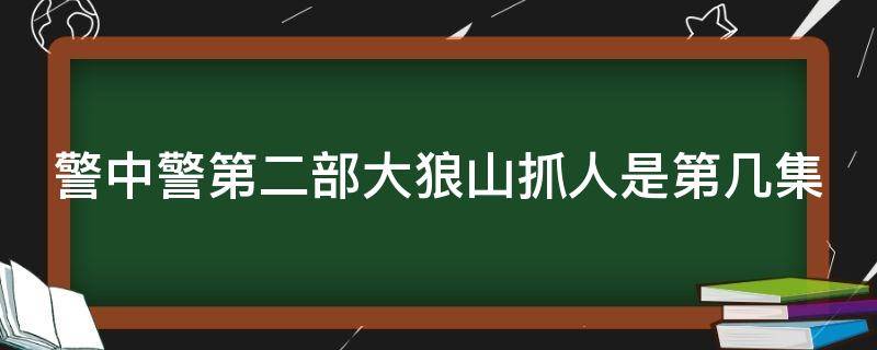 警中警第二部大狼山抓人是第几集 警中警第二部大狼山抓人是第几集第一集