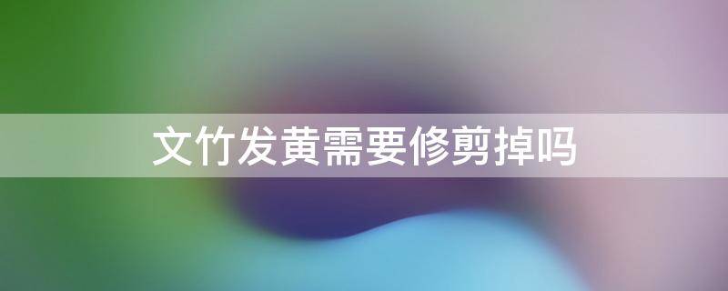 文竹发黄需要修剪掉吗 文竹发黄要不要修剪