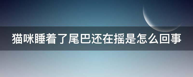 猫咪睡着了尾巴还在摇是怎么回事（猫咪睡着了尾巴为什么还在摇动）