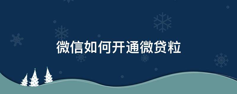 微信如何开通微贷粒（微信微粒贷怎么开通）