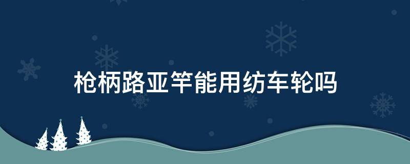 枪柄路亚竿能用纺车轮吗（路亚枪柄竿可以用纺车轮吗）