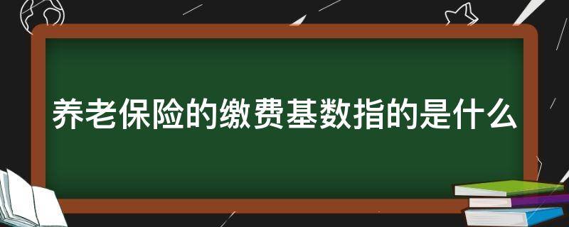 养老保险的缴费基数指的是什么 养老保险费缴费基数是什么意思