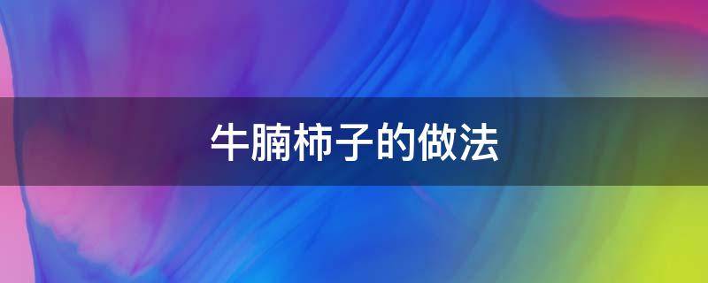 牛腩柿子的做法 牛腩炖柿子家常做法窍门