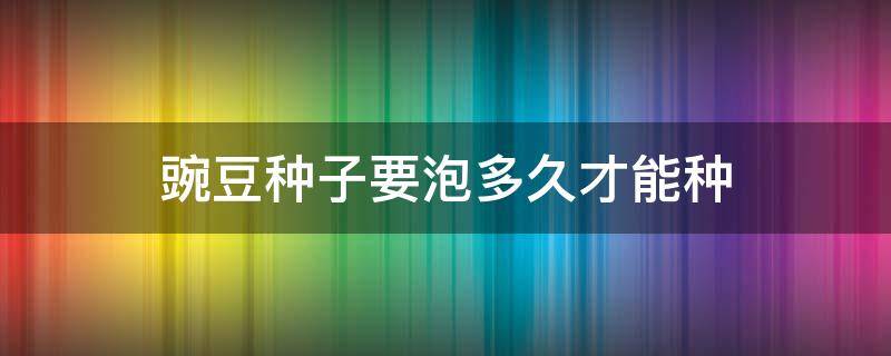 豌豆种子要泡多久才能种（豌豆苗种子要泡多久可以播种）