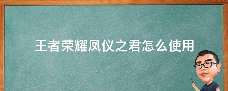 王者荣耀凤仪之君怎么使用（王者荣耀凤仪之诏怎么变成凤仪之君）