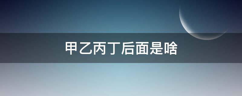 甲乙丙丁后面是啥（甲丙乙丁后面有什么）