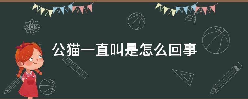 公猫一直叫是怎么回事 公猫一直叫是什么情况