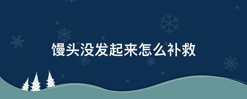 馒头没发起来怎么补救（老面馒头没发起来怎么补救）