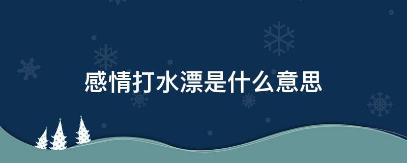 感情打水漂是什么意思 打了水漂的意思