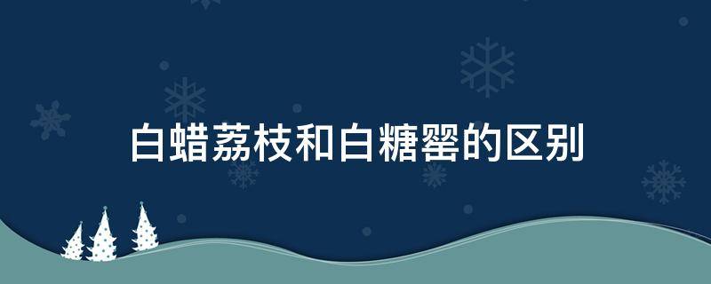 白蜡荔枝和白糖罂的区别（白蜡荔枝和白糖罂荔枝的区别）