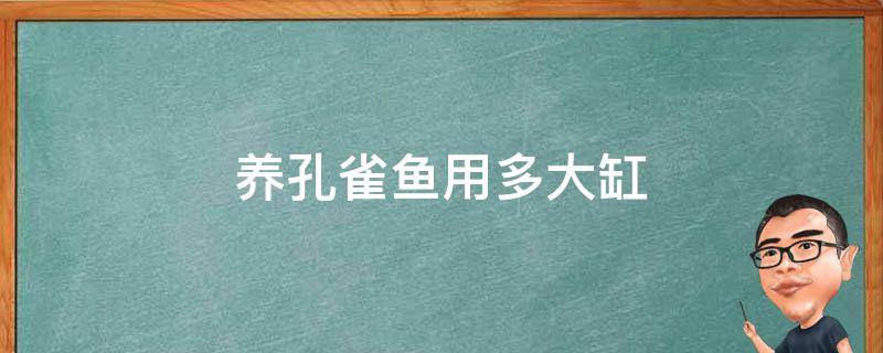 养孔雀鱼用多大缸 家养孔雀鱼用多大的鱼缸最合适