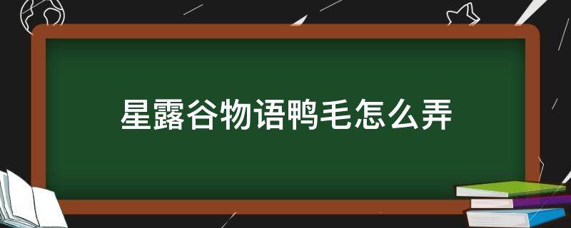 星露谷物语鸭毛怎么弄 星露谷物语鸭毛什么用