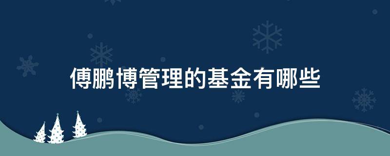 傅鹏博管理的基金有哪些（基金经理人傅鹏博）