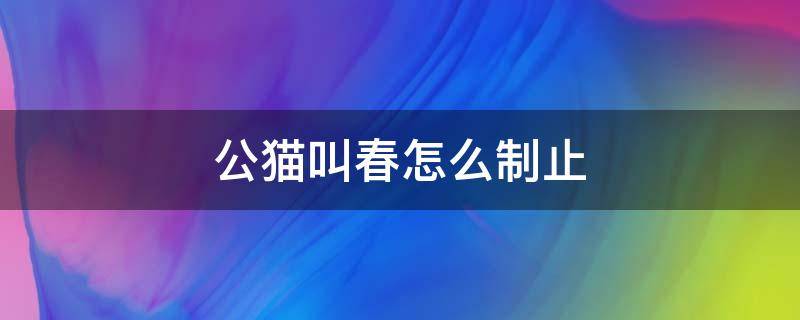 公猫叫春怎么制止 猫叫春有什么办法不让他叫吗