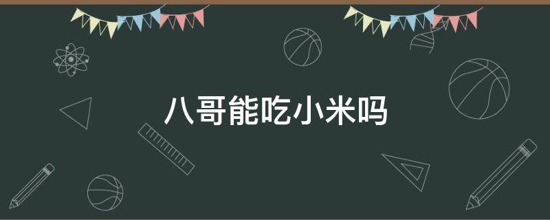 八哥能吃小米吗 八哥能吃小米吗?