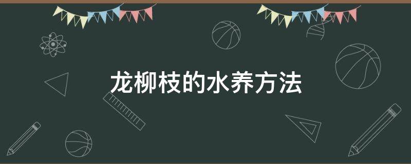 龙柳枝的水养方法（龙柳枝的水养方法生根吗）