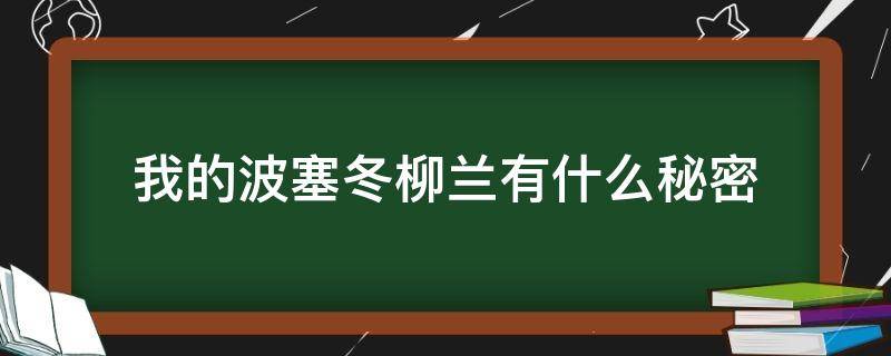 我的波塞冬柳兰有什么秘密 我的波塞冬 百度百科