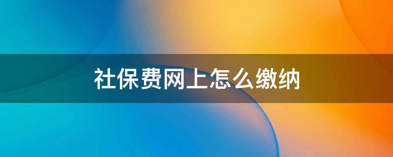 社保费网上怎么缴纳 网上社保如何缴费