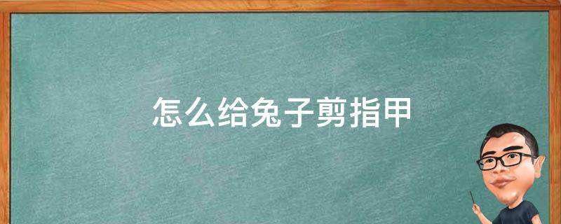 怎么给兔子剪指甲 怎么给兔子剪指甲图解