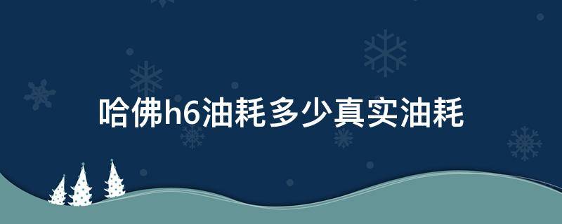 哈佛h6油耗多少真实油耗 h6 油耗多少真实油耗