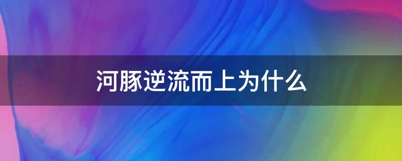 河豚逆流而上为什么（河豚为什么每年春天逆流而上）