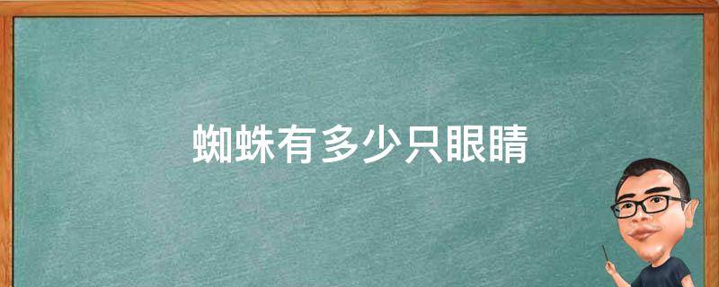 蜘蛛有多少只眼睛 蜘蛛有多少只眼睛图片