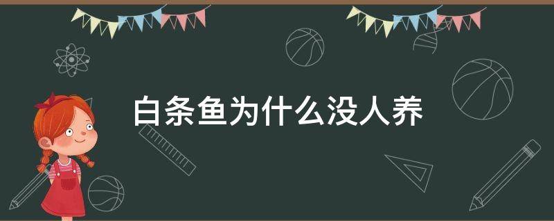 白条鱼为什么没人养（白条鱼能人工养殖吗）