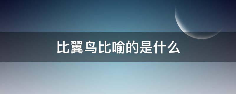 比翼鸟比喻的是什么 比翼鸟形容什么