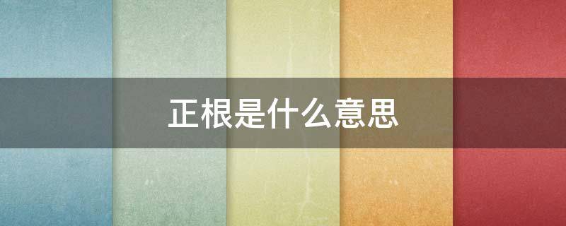 正根是什么意思（方程有正根是什么意思）